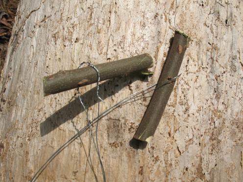 04 sticks in wire loop