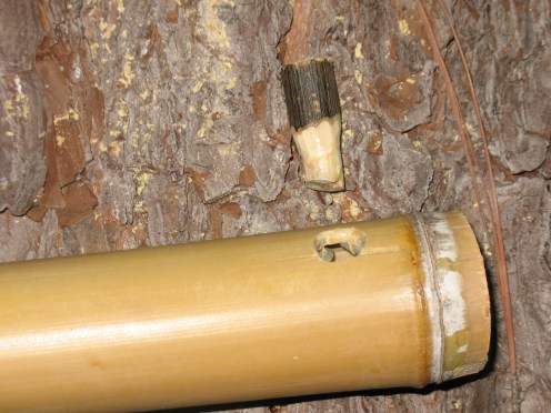 04 wood plug