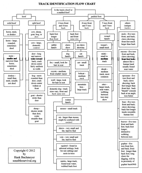 Track Analysis Flow Chart
