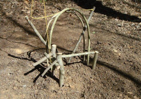 a-toggle-trigger-scissor-trap