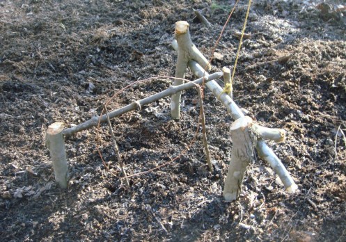 a-toggle-trigger-snare-trap