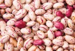 02 cranberry beans